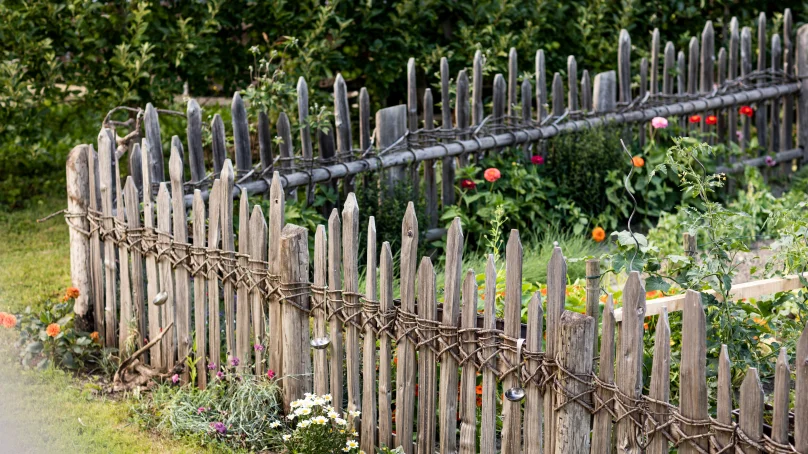 2020garten_s-waibl_sbo_armin_huber_8.jpg