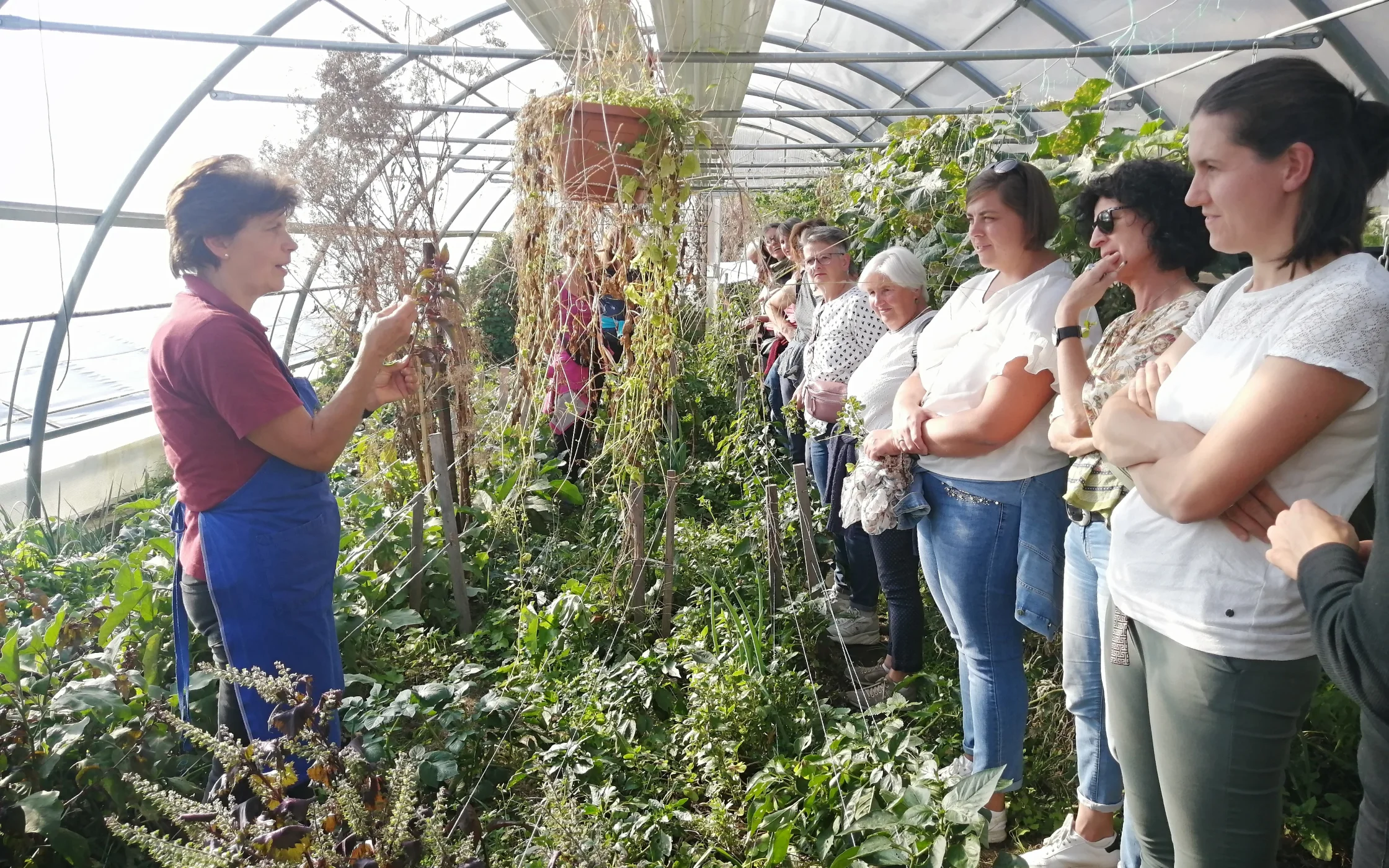 1_Treffen_Gartenbegehung_Kronlechnerhof.jpg