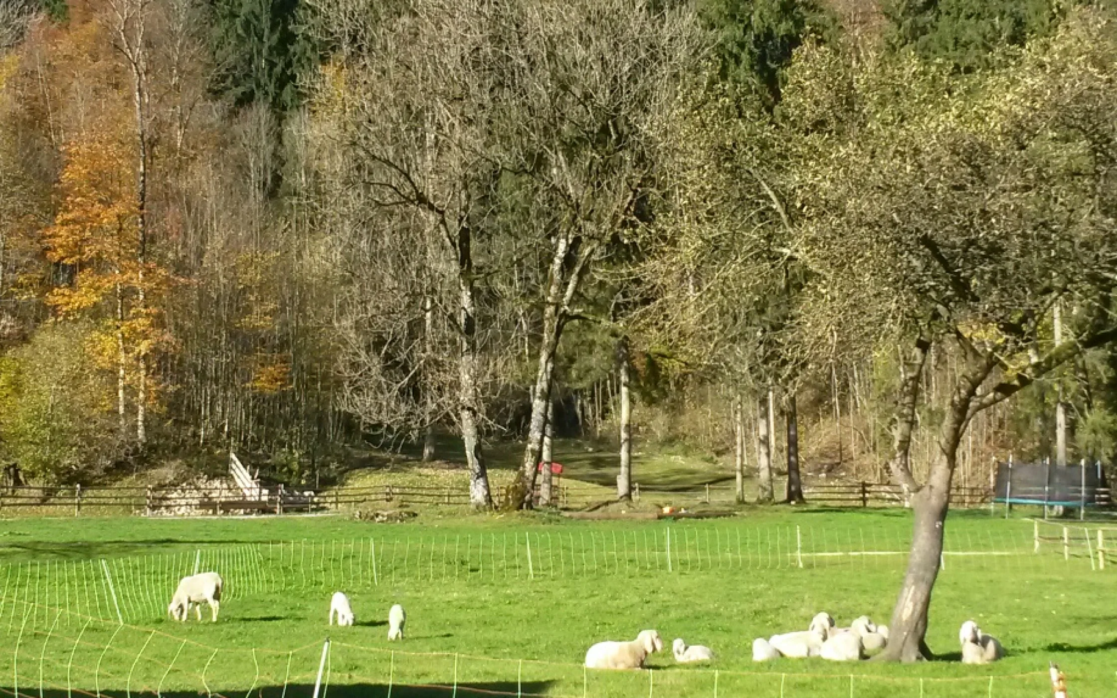 20141104_101503_resized.jpg
