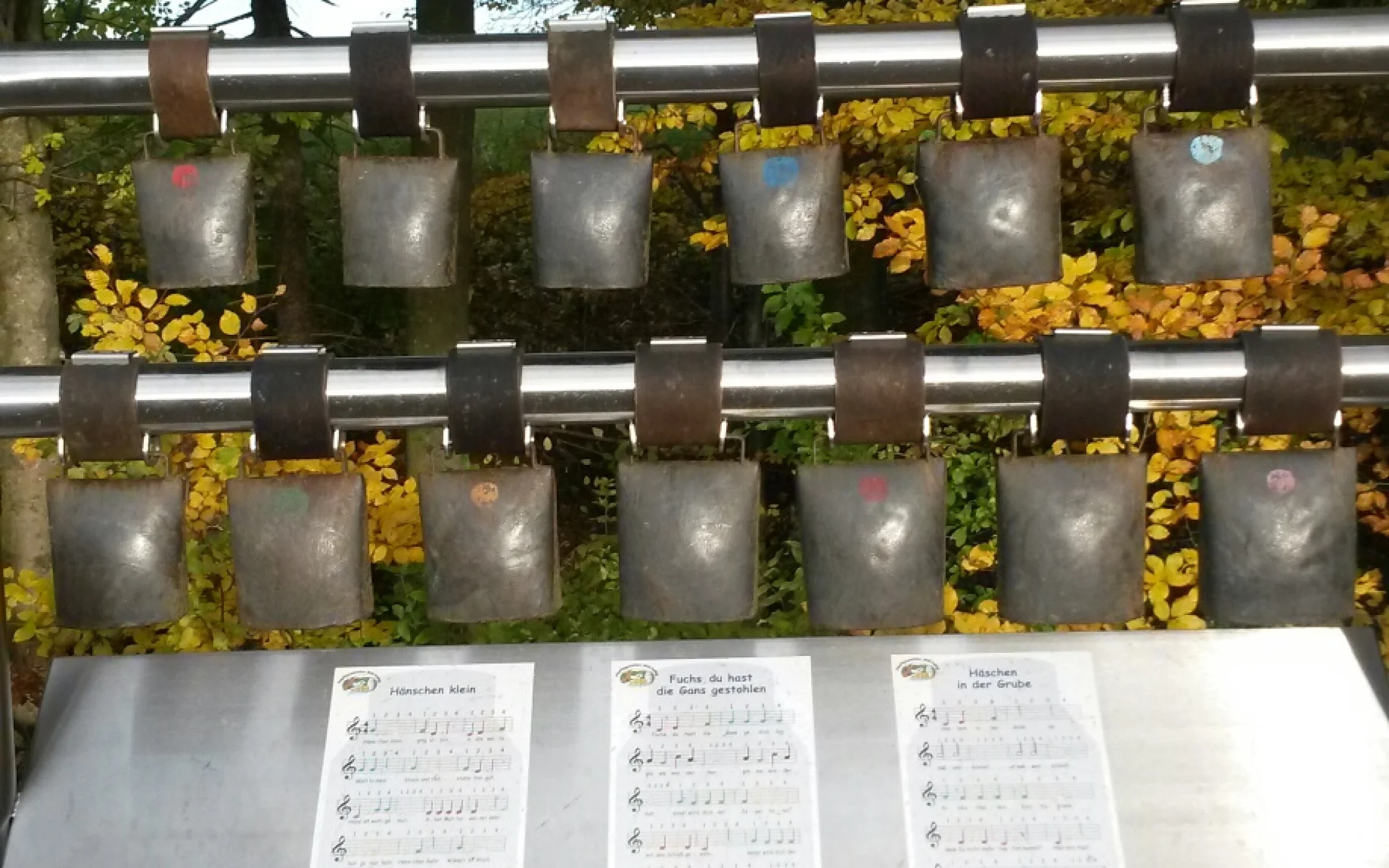 20141104_150224_resized.jpg