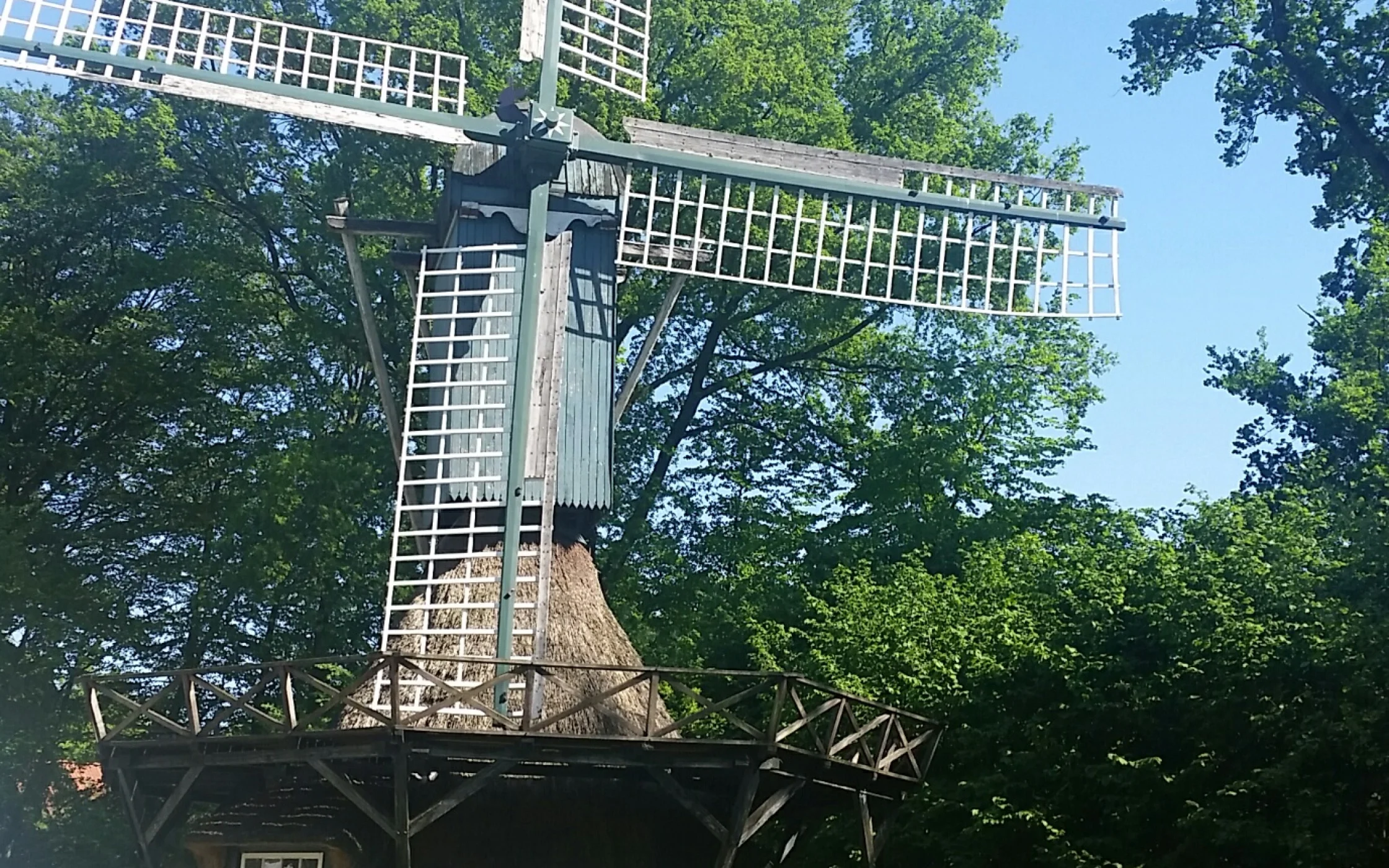20180508_160540_resized.jpg