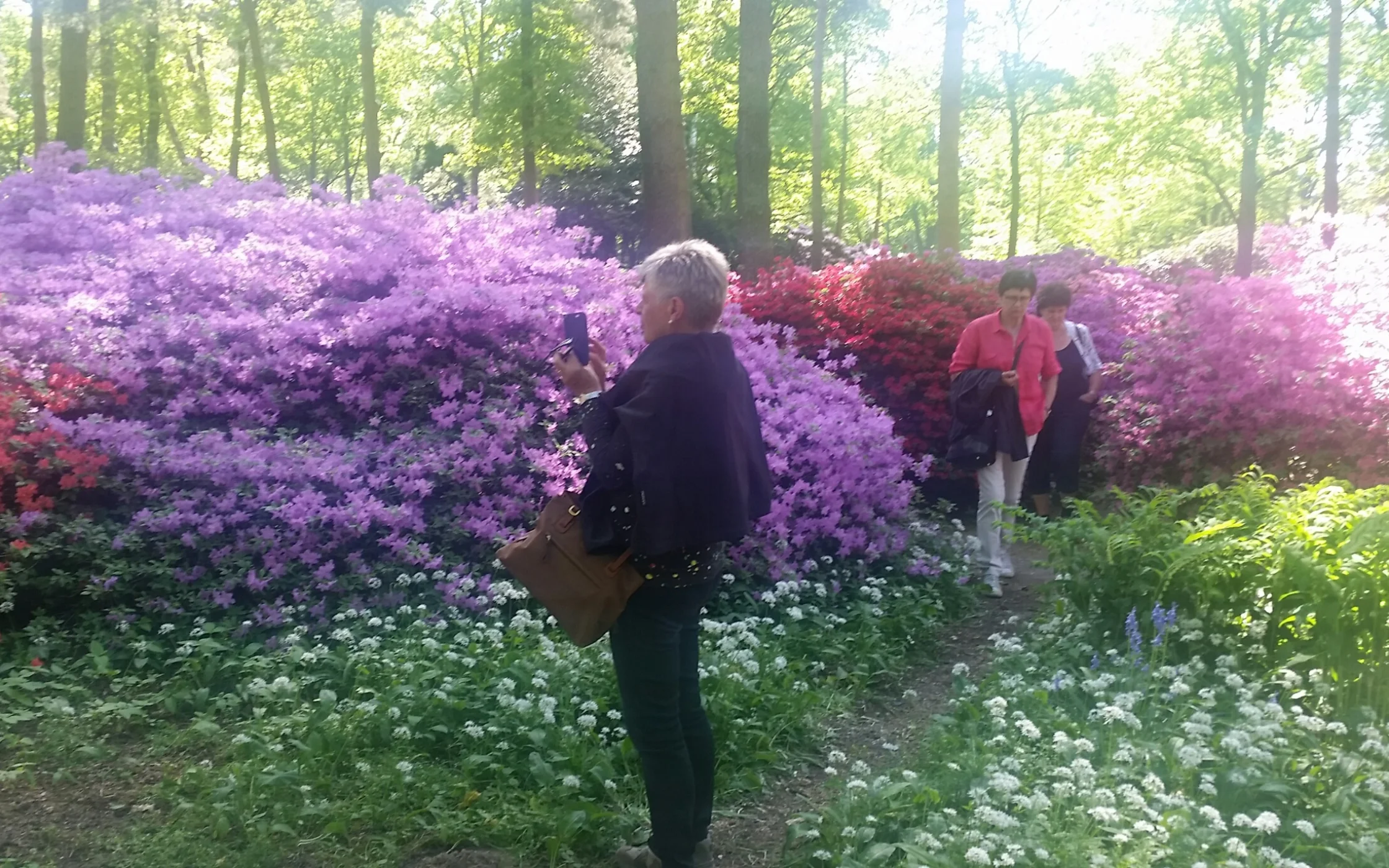 20180509_113217_resized.jpg
