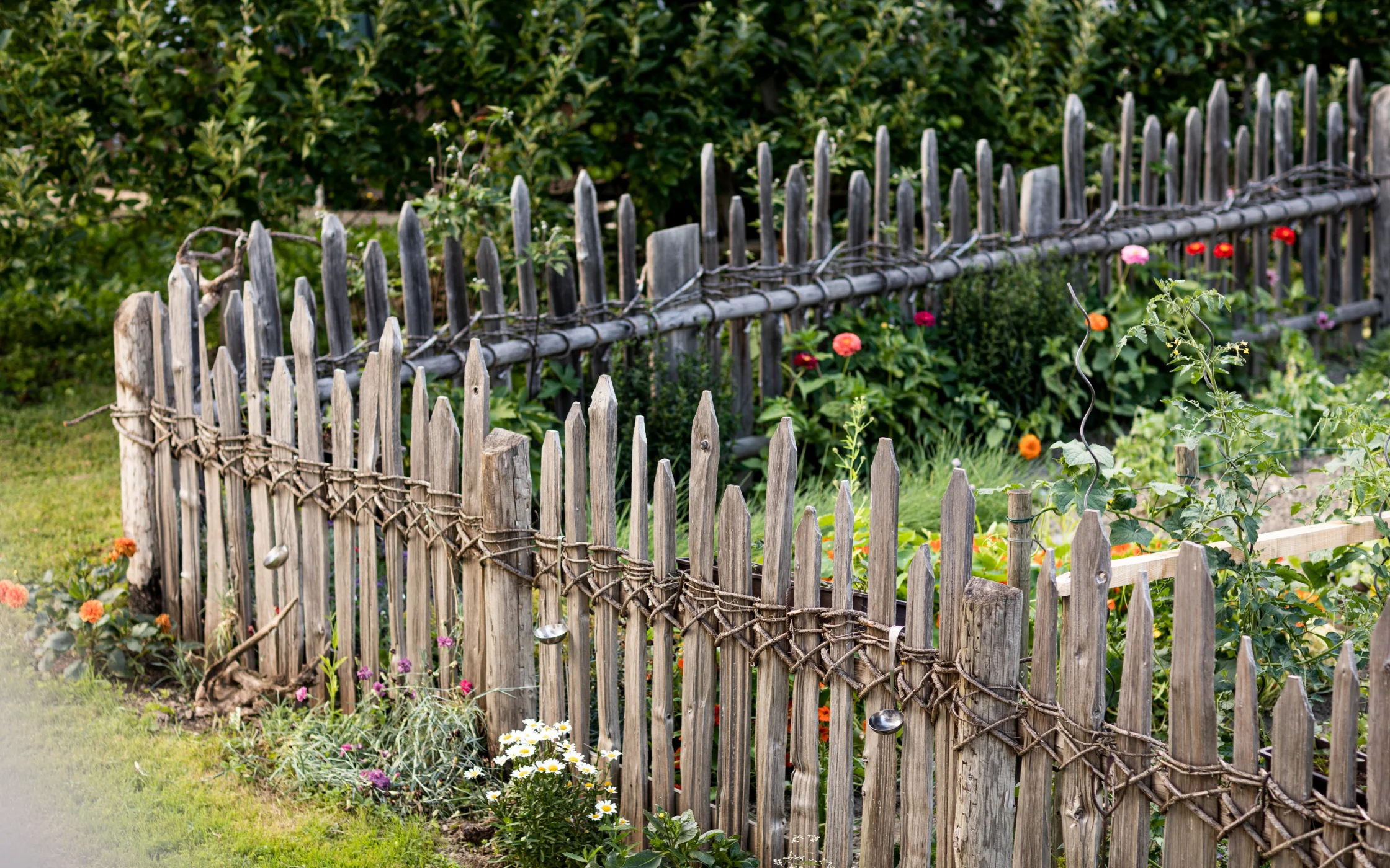 2020garten_s-waibl_sbo_armin_huber_8.jpg