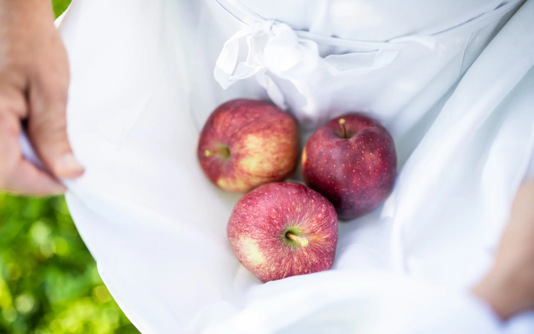 2021_a-innerhofer_apfel_arminhuber_7.jpg