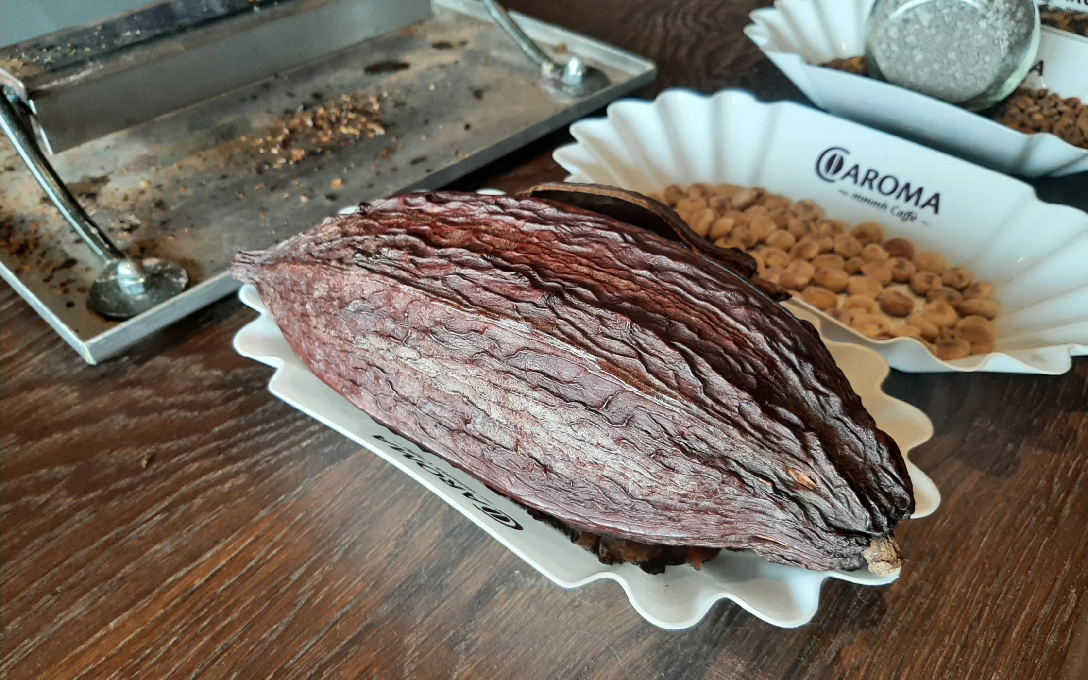 20220430_105856.jpg
