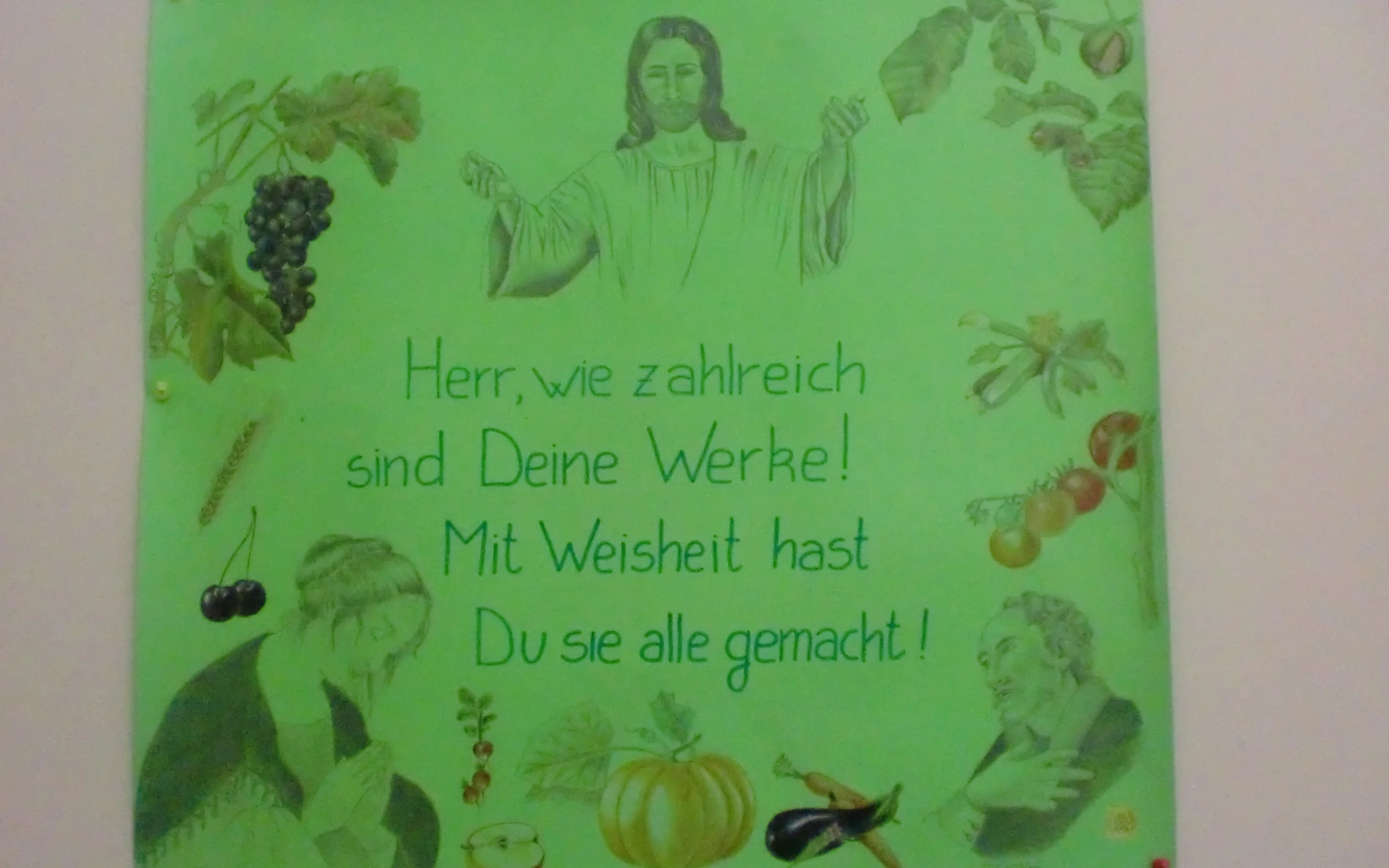 26.JPG