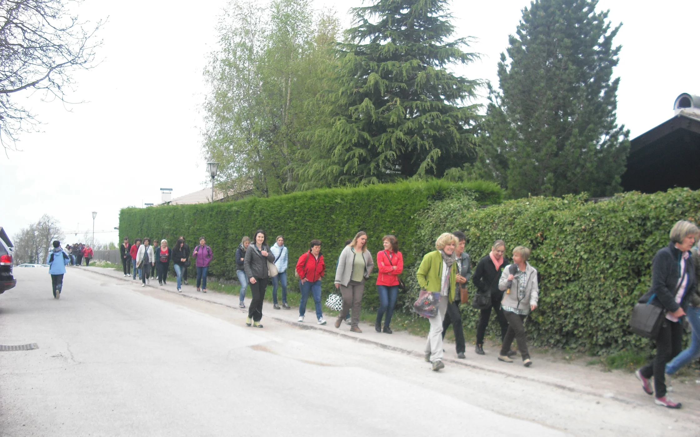 CIMG6136.JPG