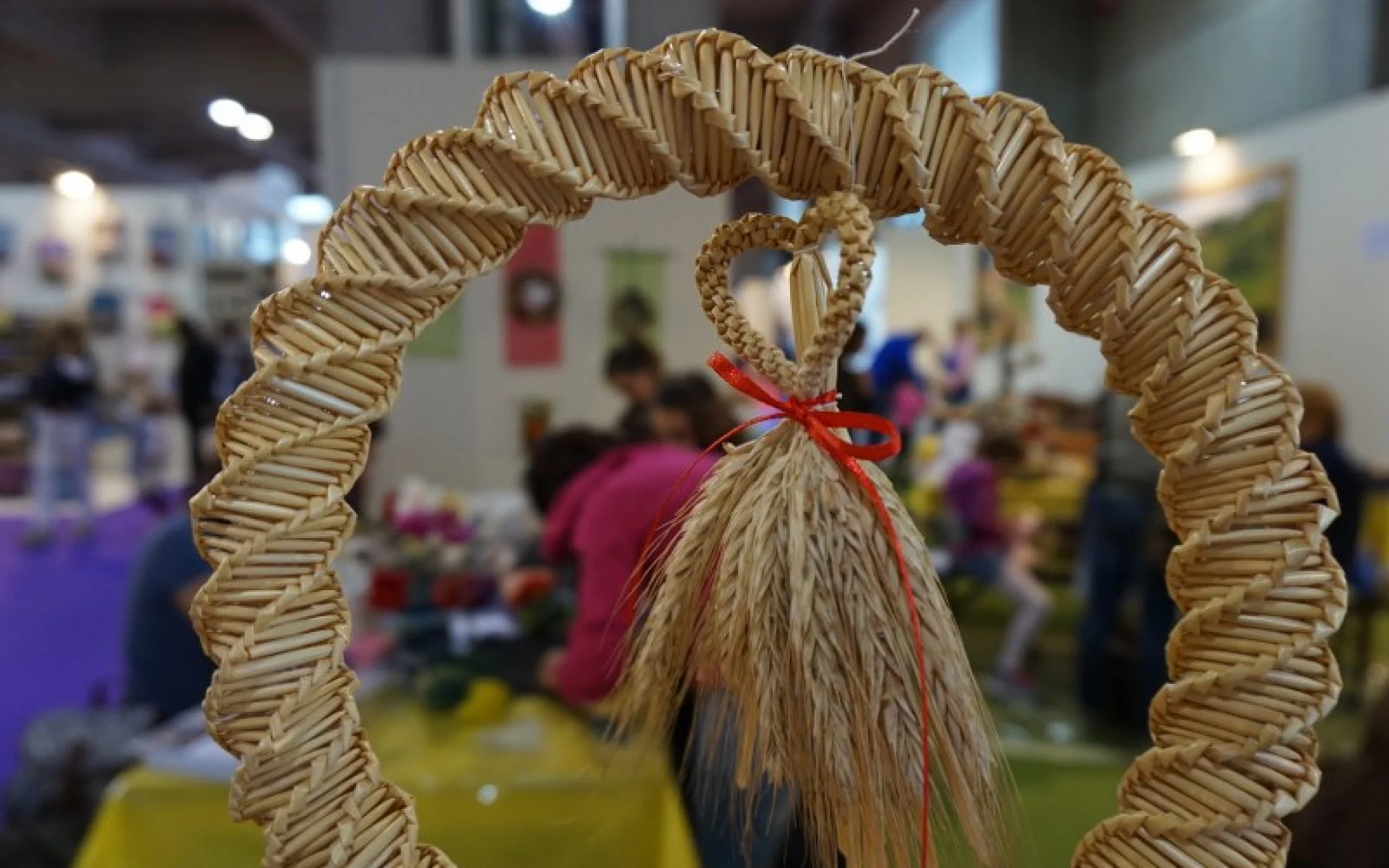 DSC03509_800x533.JPG