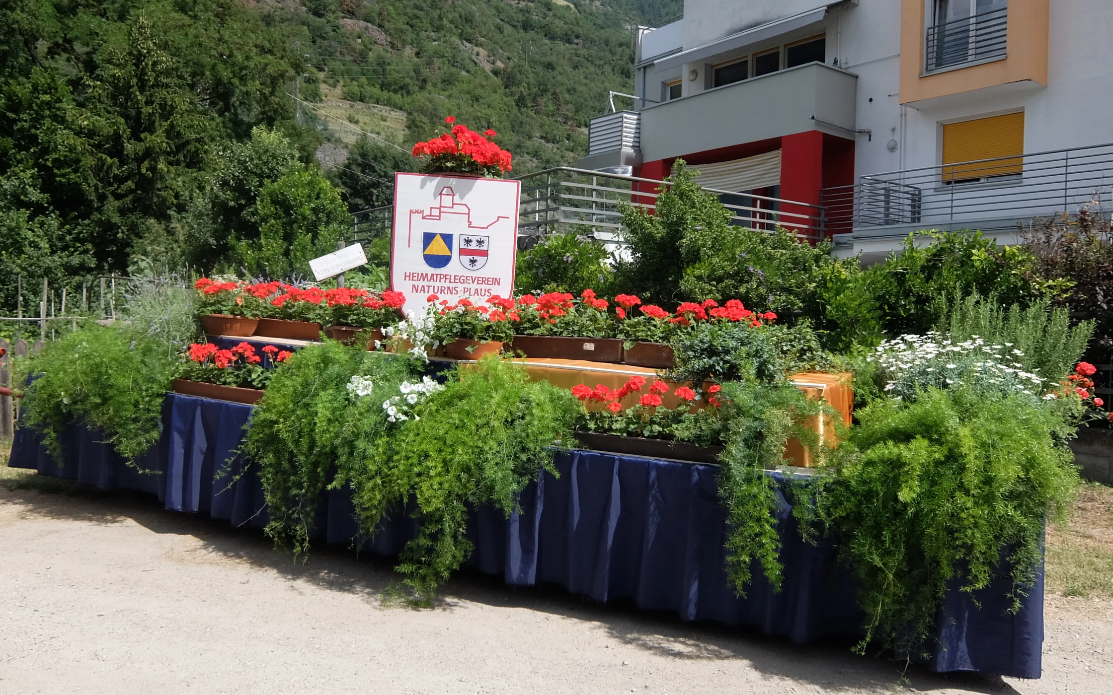 DSCF2013.JPG