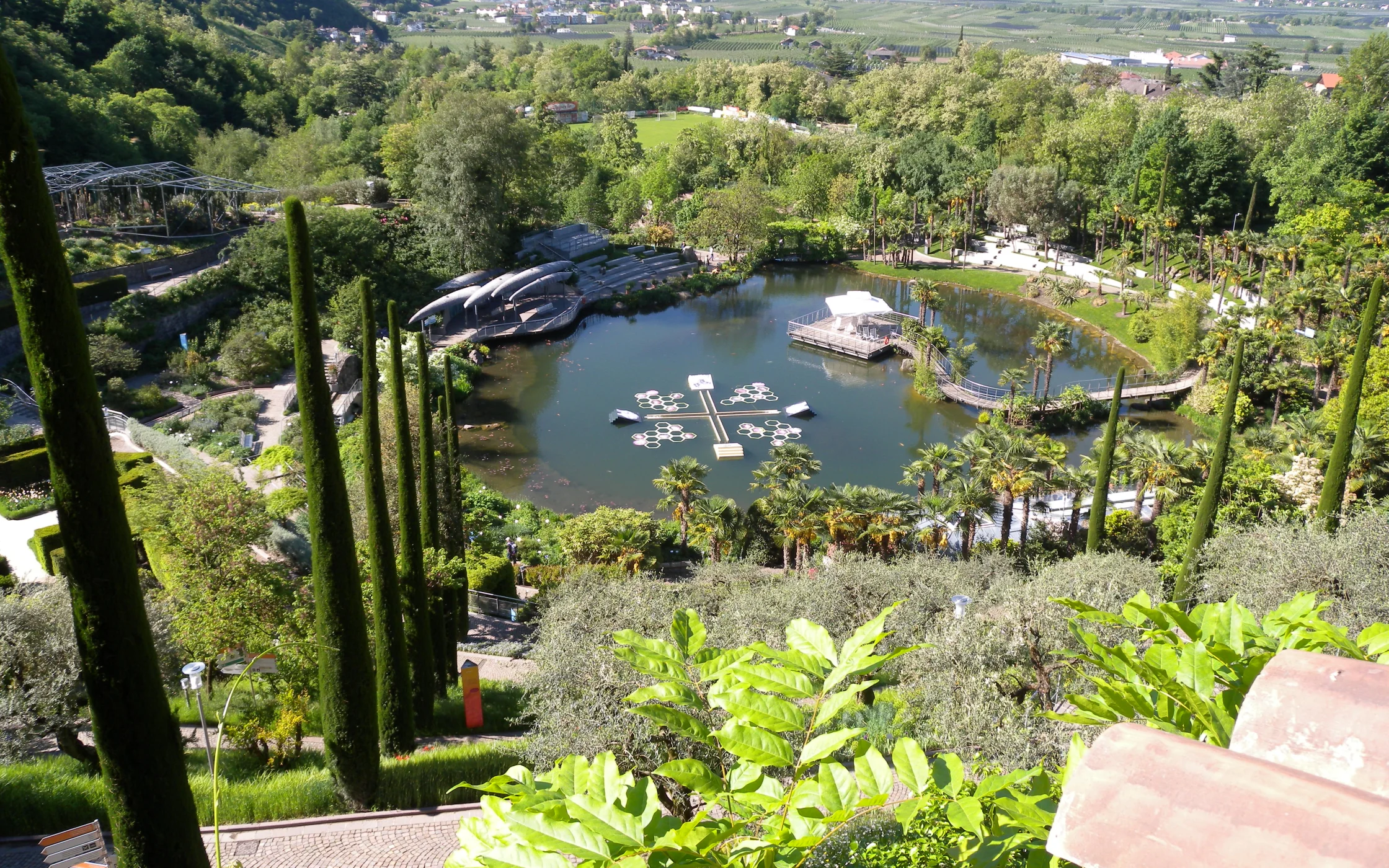 DSCN4171.JPG