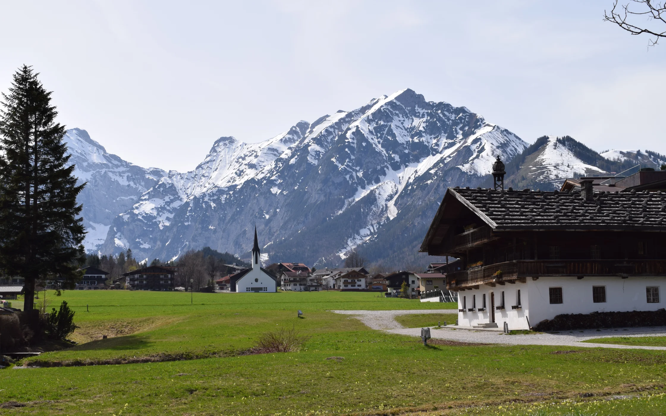 DSC_1505.JPG