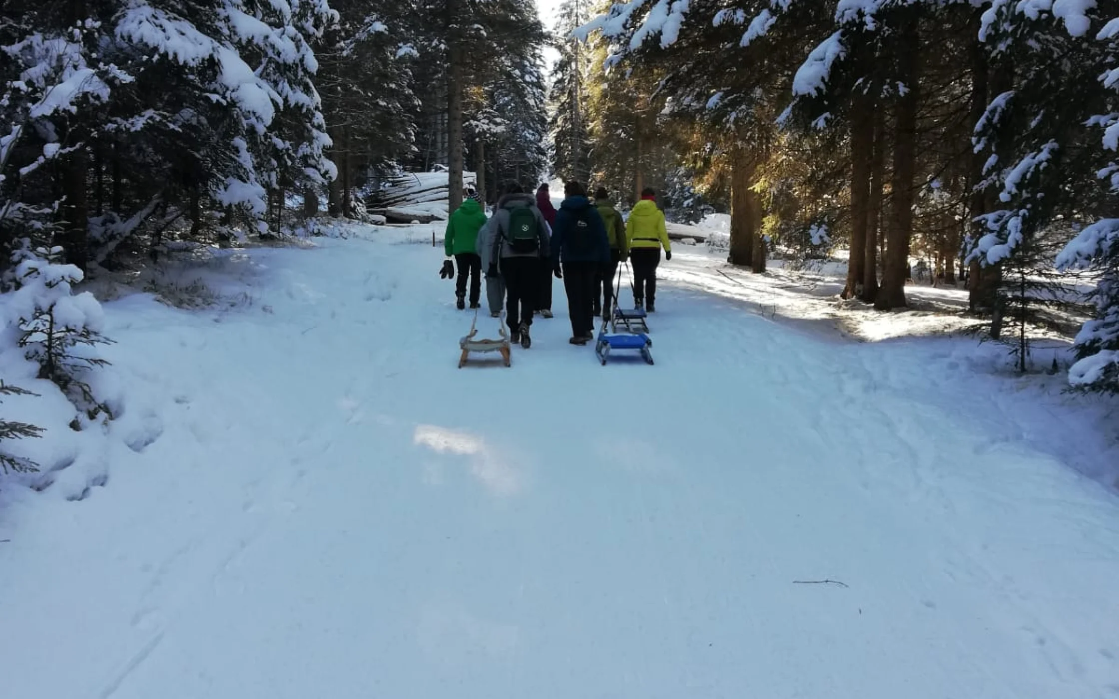 IMG-20190129-WA0009.jpg