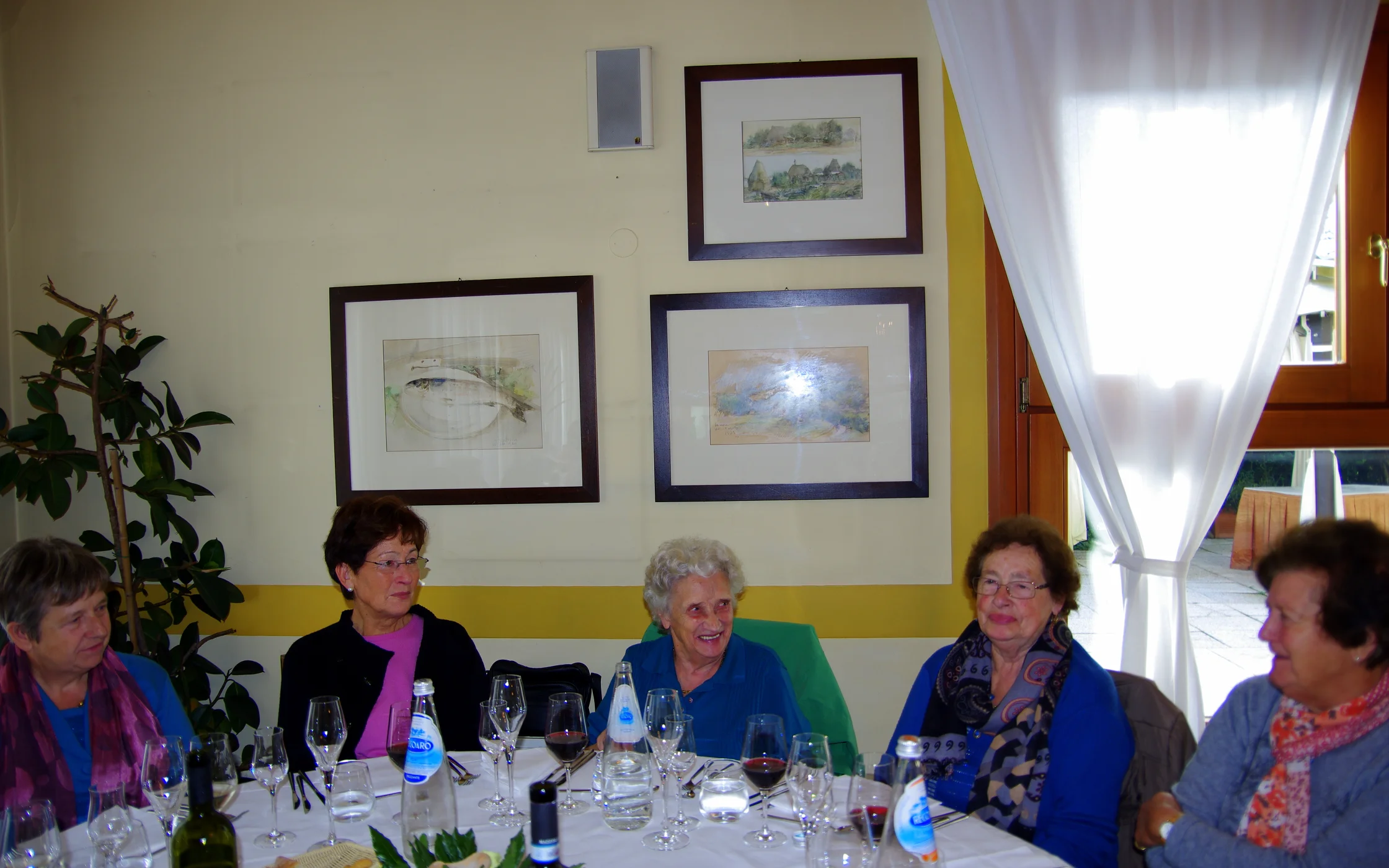IMGP6458.JPG
