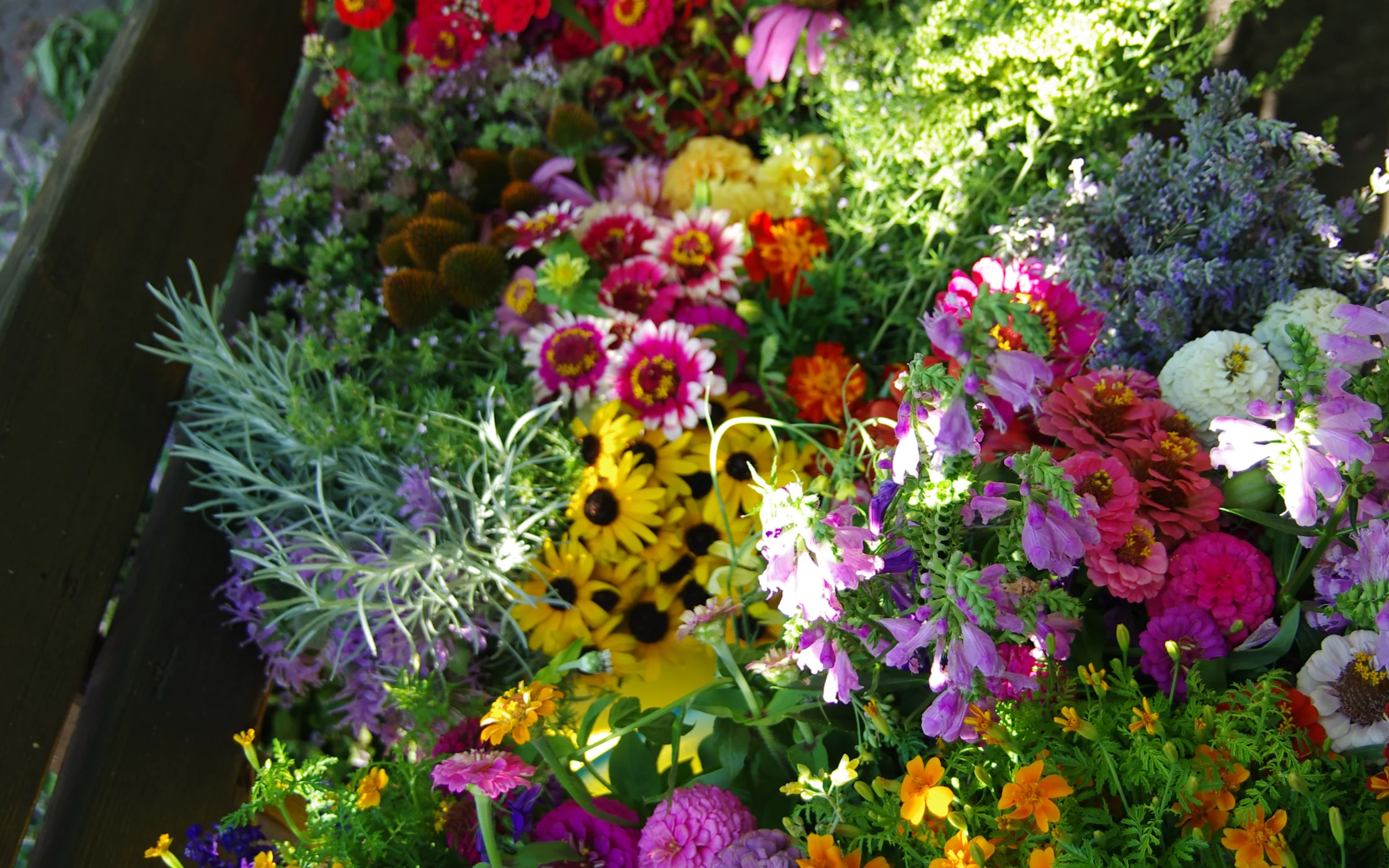 IMGP8947.JPG