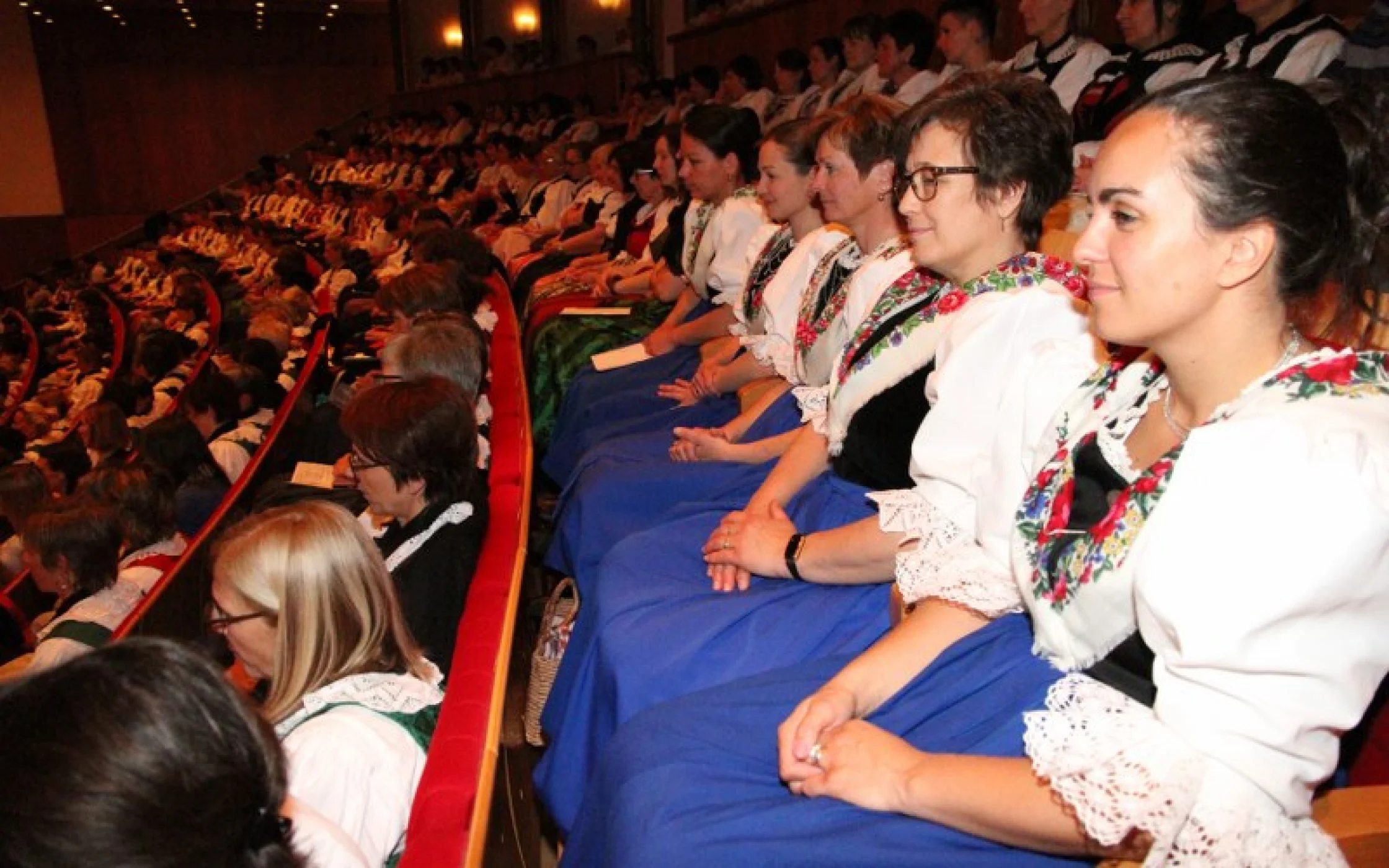 IMG_0550_800x533.JPG