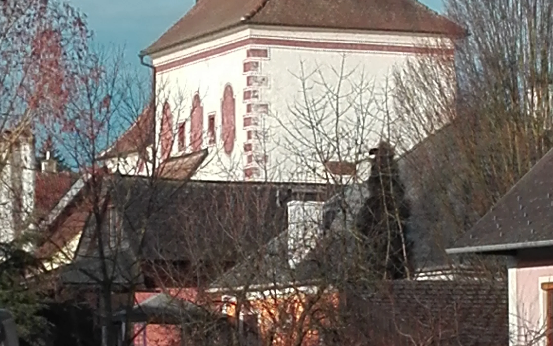 IMG_20180310_072406.jpg