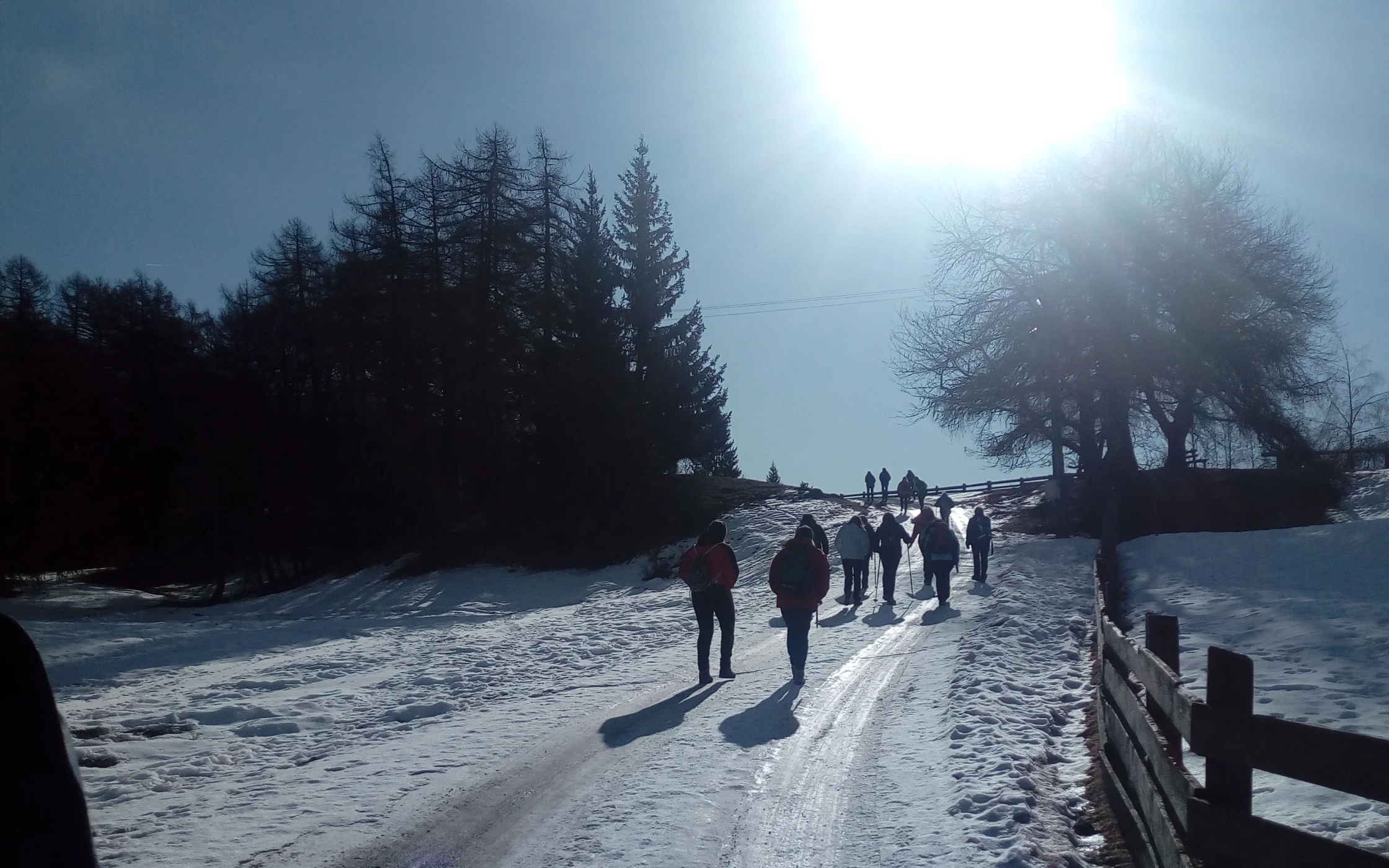 IMG_20200129_110121.jpg