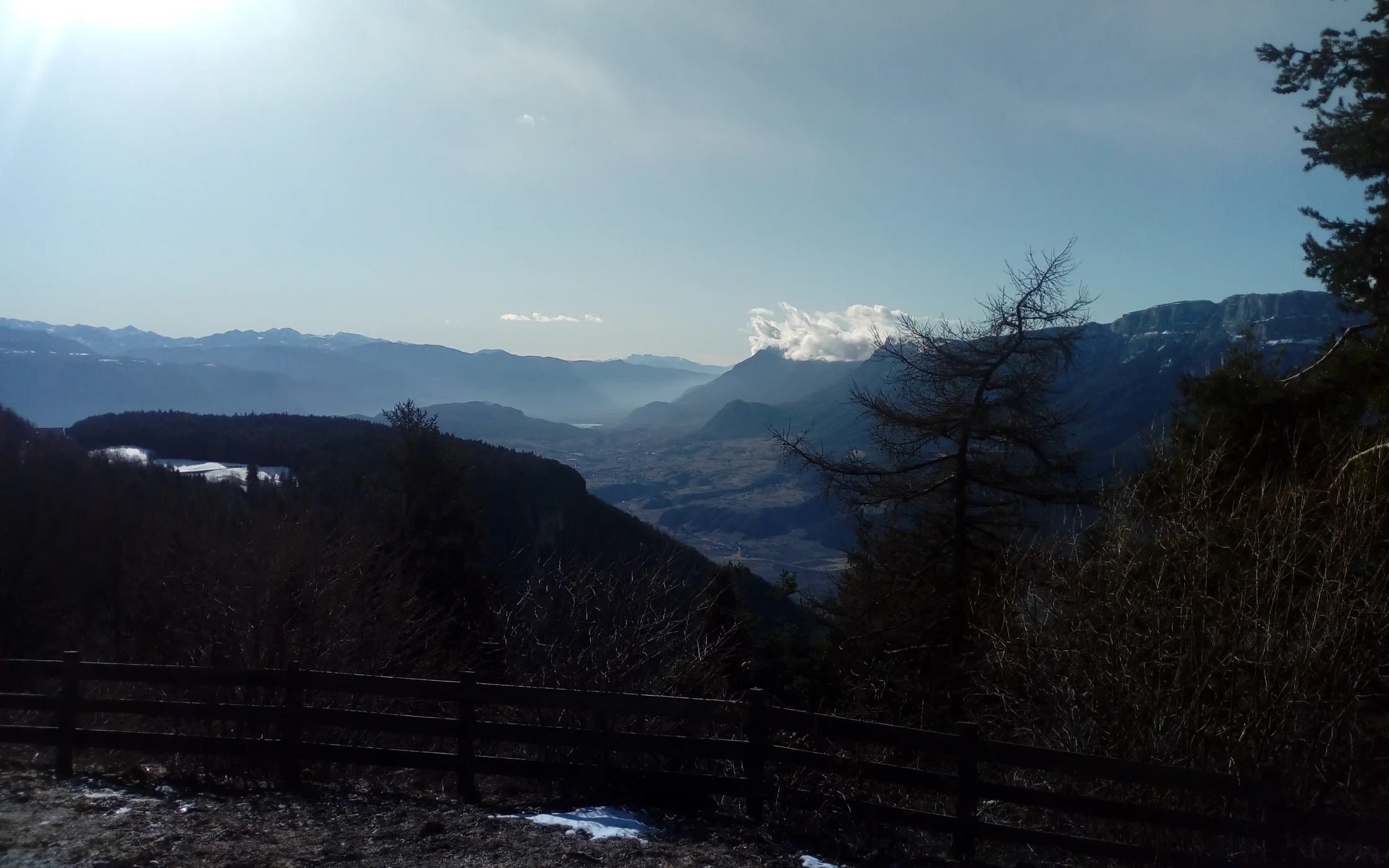 IMG_20200129_111521.jpg