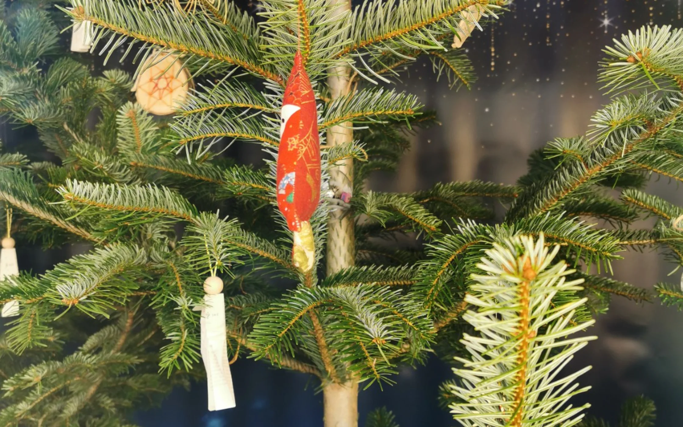 IMG_20201128_115654.jpg