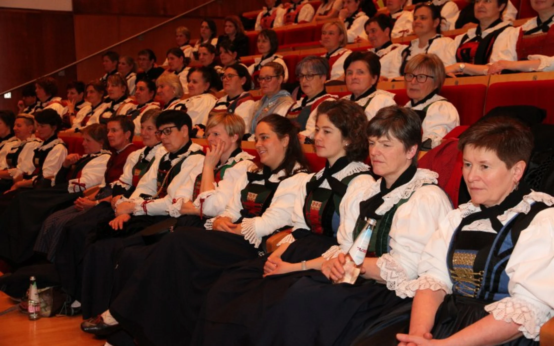 IMG_6064_800x533.JPG