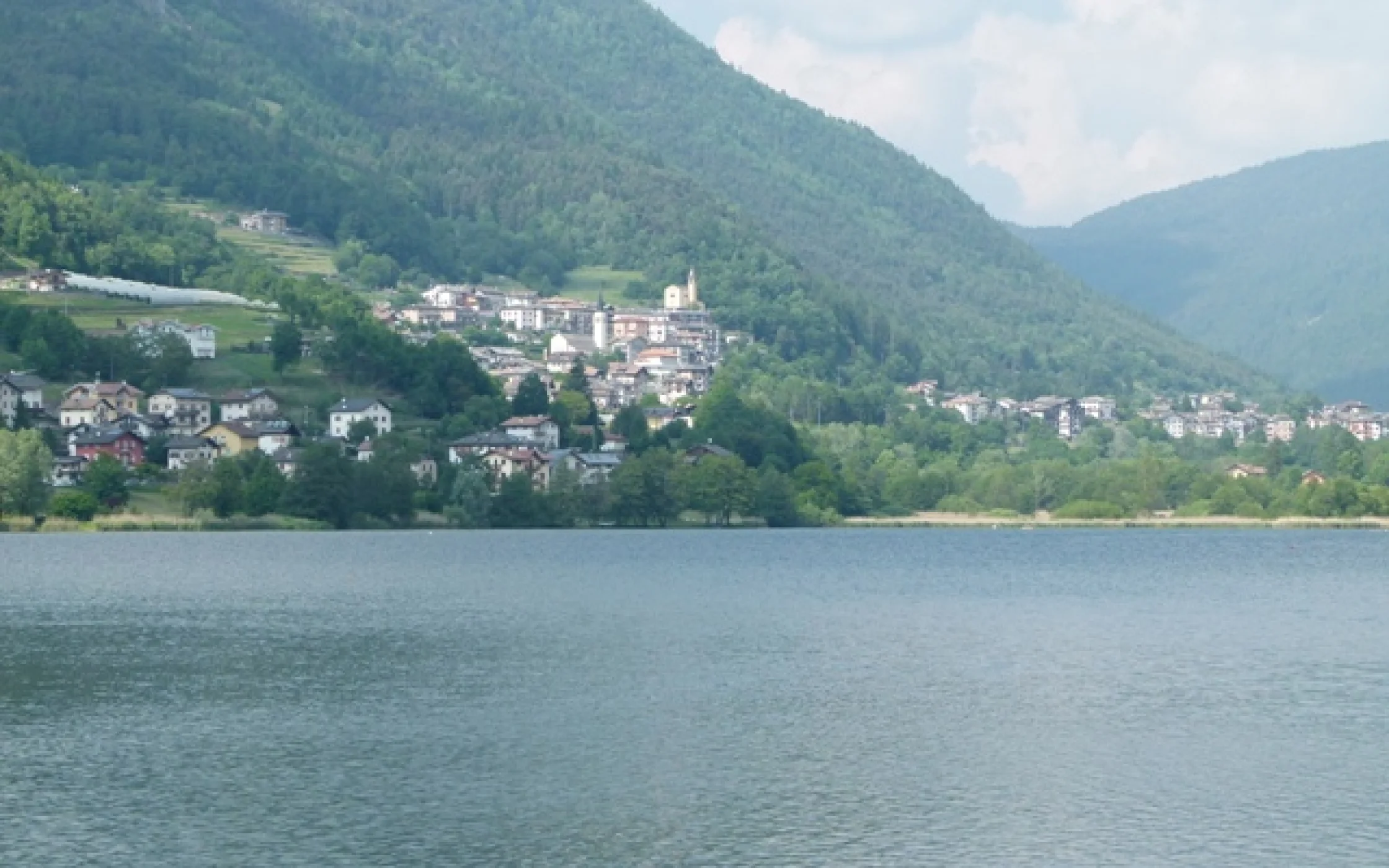 P1050619.jpg