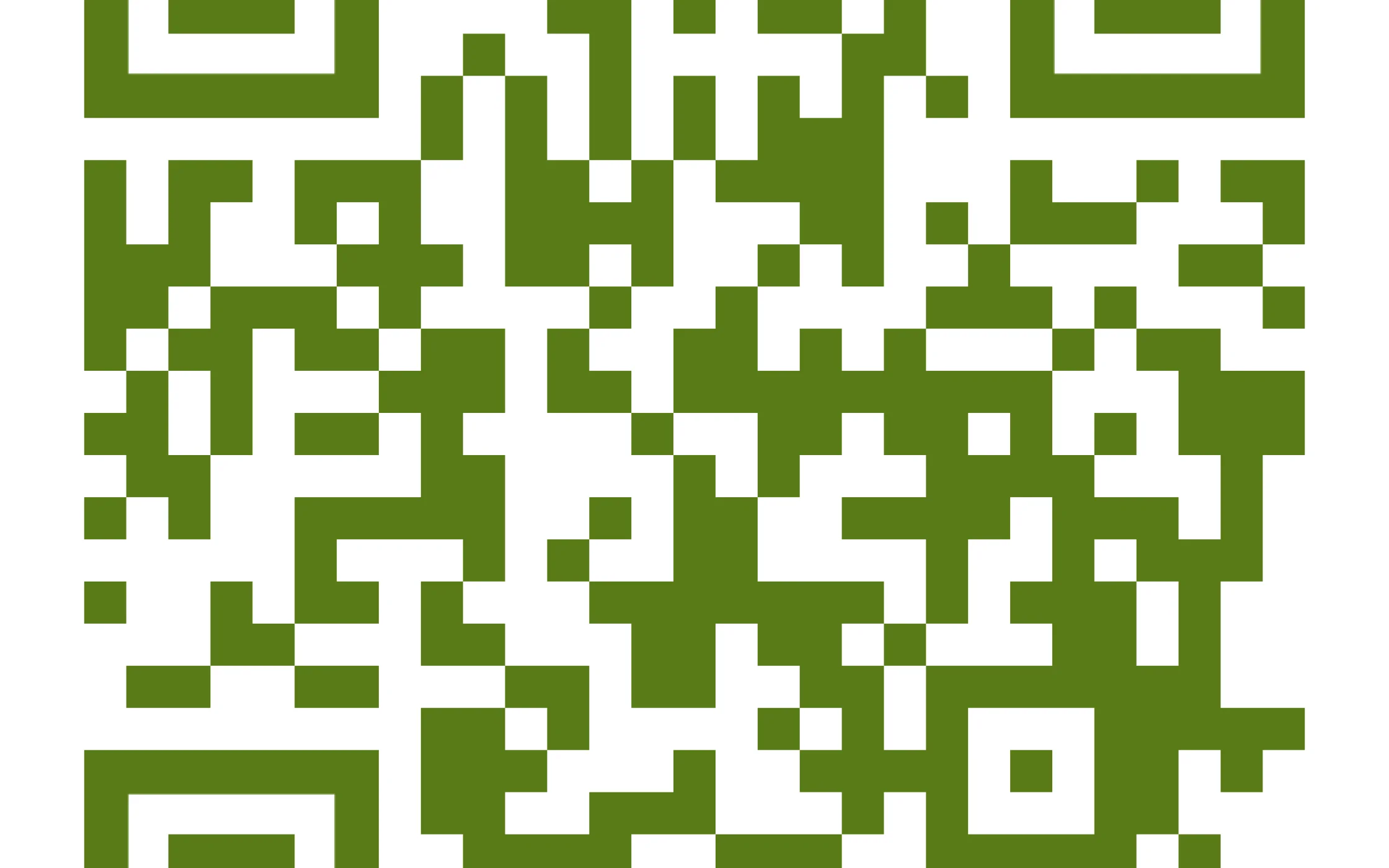 QR_code_SBO.png