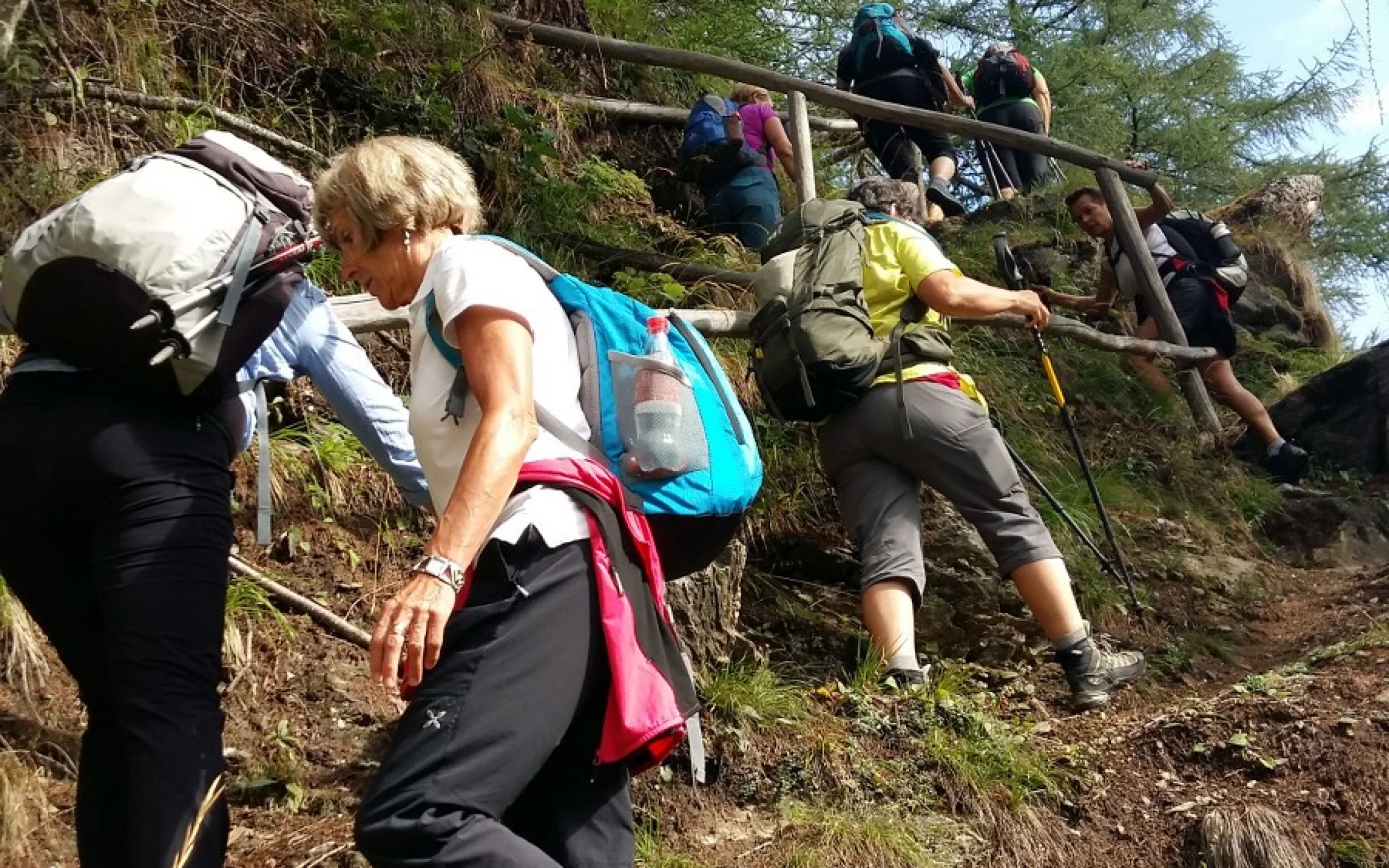 SBO_Sommerwanderung2018_Schlandraun_7_1600x900.jpg