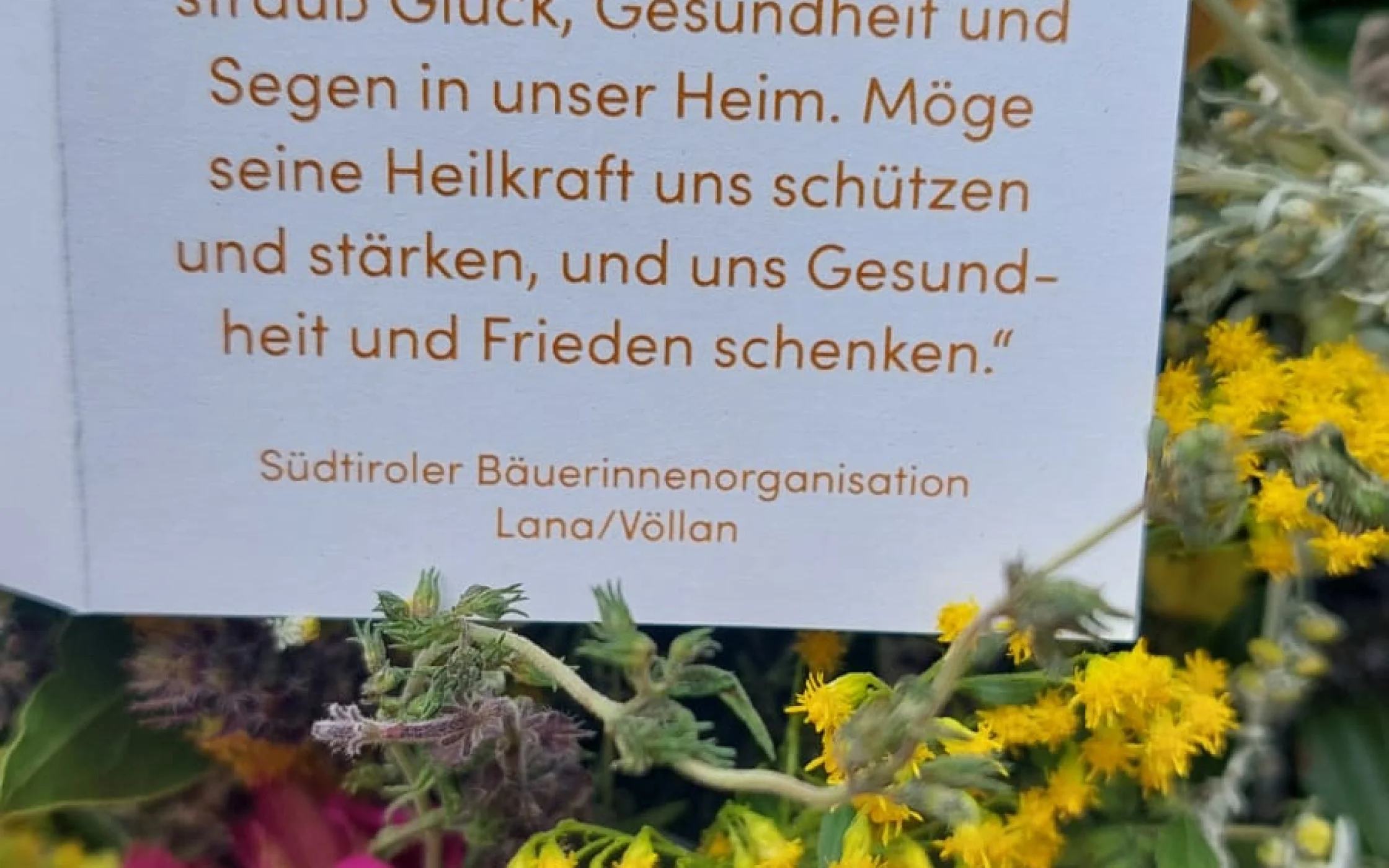 Spruch.jpg