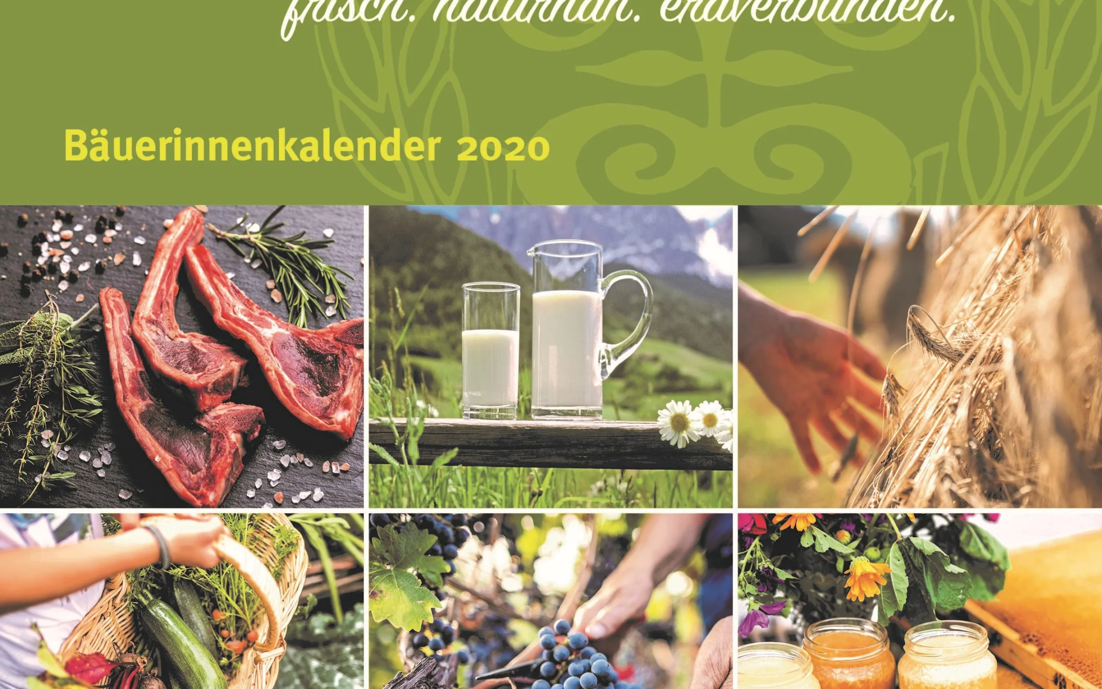 Titelbild_neu.jpg