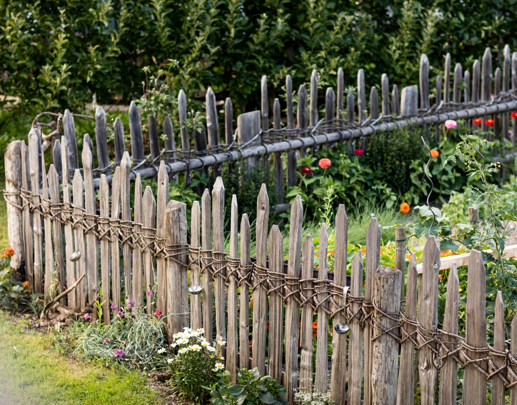 2020garten_s-waibl_sbo_armin_huber_8.jpg