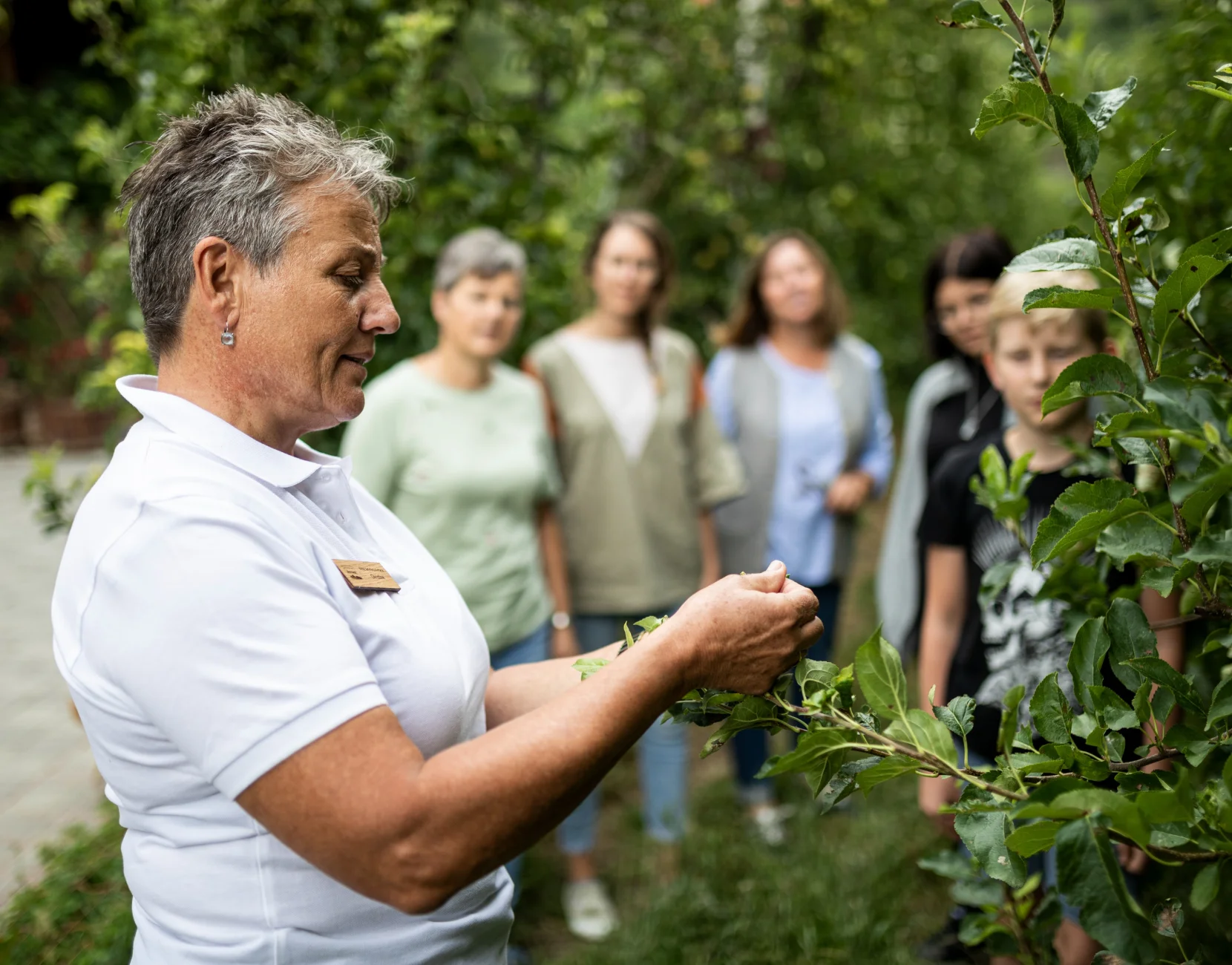 sbo_gartenfuehrung_arminhuber_hq-0299_1.jpg