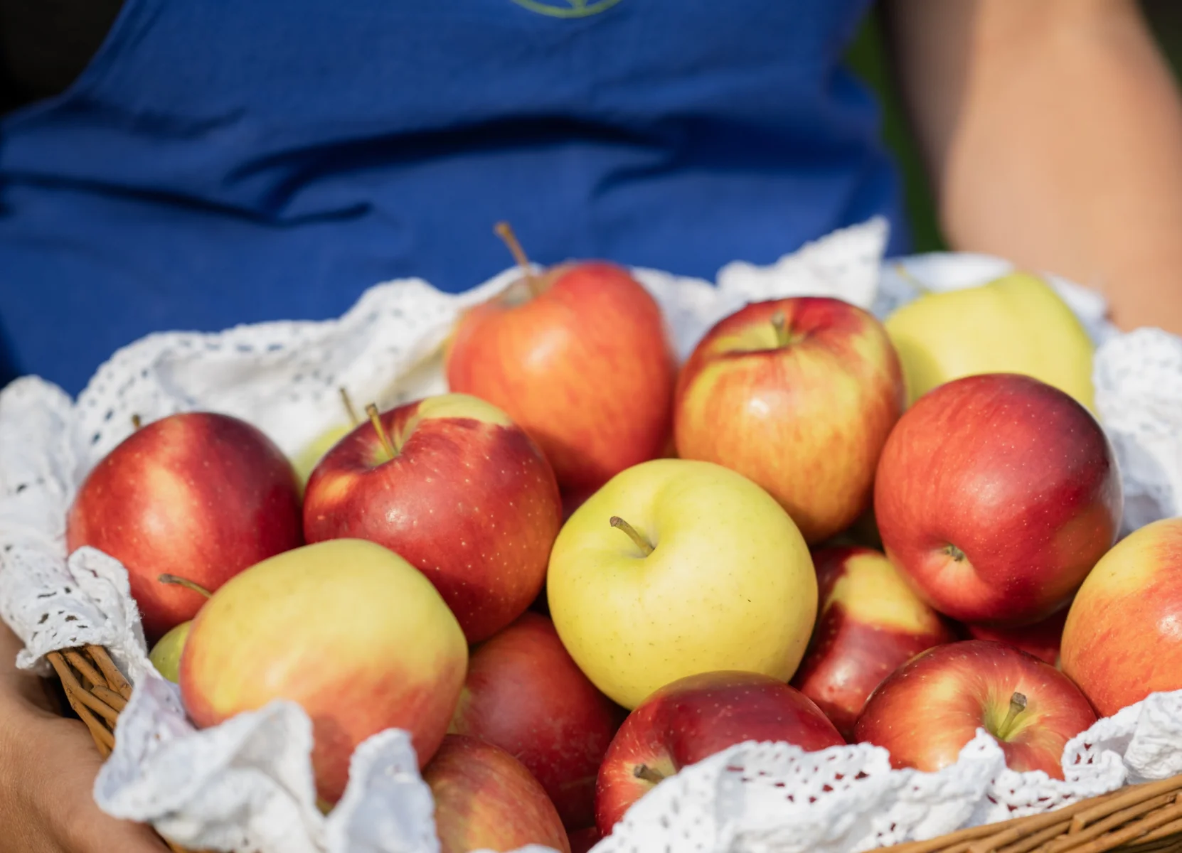 2024_m-pircher_apfel_sbo_vanessa_runggaldier_5.jpg