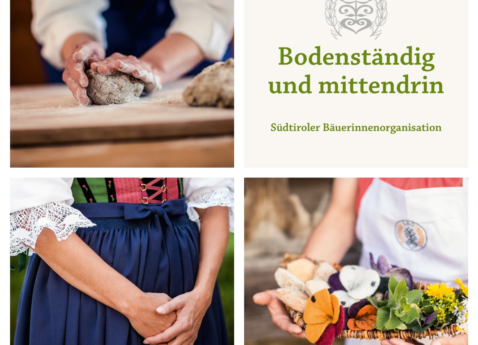 festschrift_umschlag.png