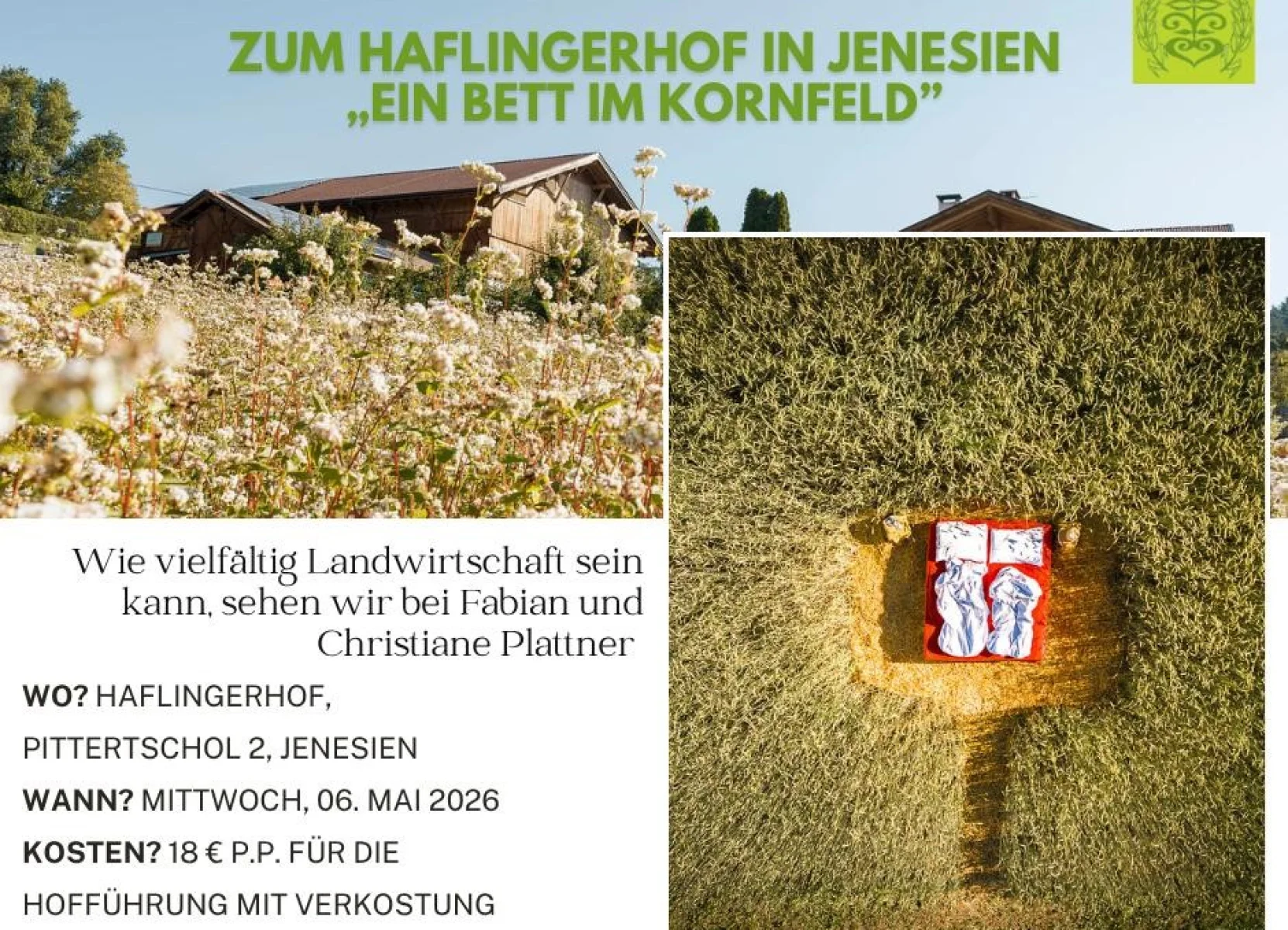 fruehlingsfahrt.jpg