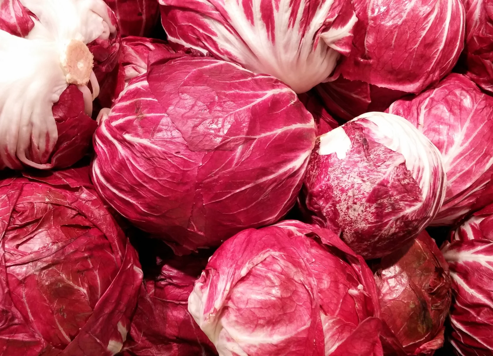peter-facebook-radicchio-salad-1568169.jpg
